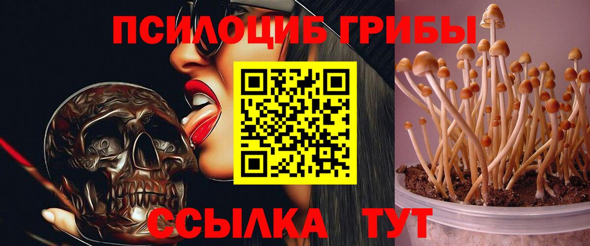 Псилоцибиновые грибы ЛСД Омск