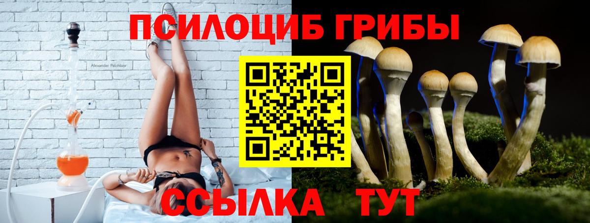 Омск  Галлюциногенные грибы Magic Shrooms  Псилоцибиновые грибы MAGIC MUSHROOMS  Вход с VPN 