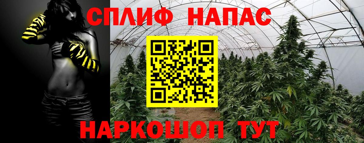 Каннабис конопля Омск