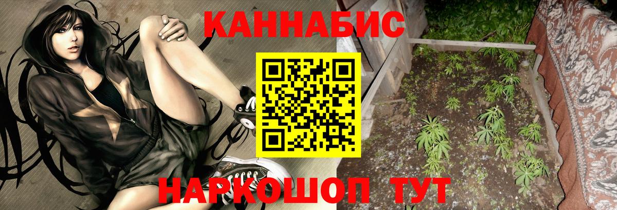 Конопля гибрид  Каннабис семена  Канабис гибрид  МАРИХУАНА гибрид  Вход с VPN  Омск 